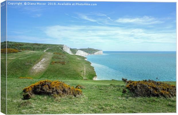 The Seven Sisters Footpath Canvas Print by Diana Mower