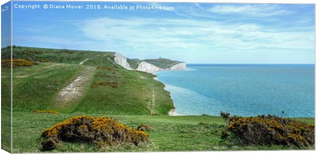 The Seven Sisters chalk Cliffs  Canvas Print by Diana Mower