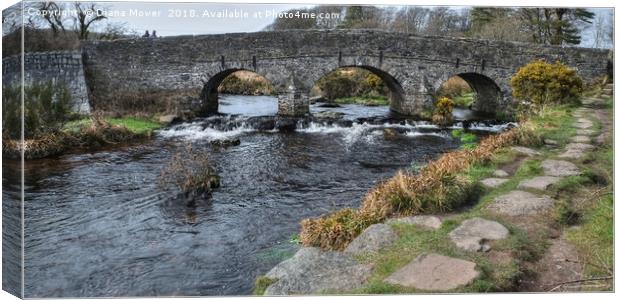 Postbridge, Dartmoor Canvas Print by Diana Mower