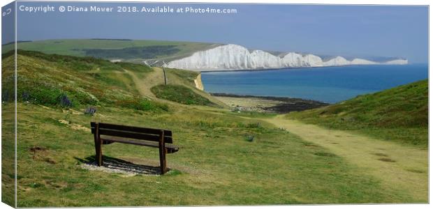 Seven Sisters Seat Canvas Print by Diana Mower