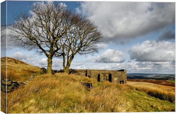 Top Withens Yorkshire Canvas Print by Diana Mower