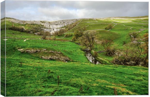 Malham Cove and Hills Canvas Print by Diana Mower