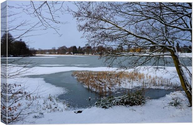 Gosfield Lake Canvas Print by Diana Mower