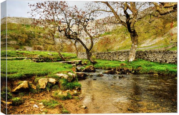 Malham Cove Yorkshire Dales Canvas Print by Diana Mower