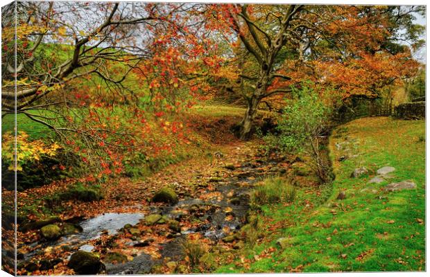 The Bronte Way Wycoller Canvas Print by Diana Mower