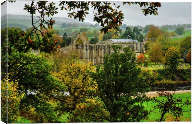 Bolton Priory Ruins Yorkshire Canvas Print by Diana Mower