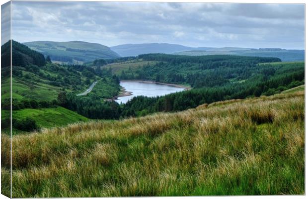 Cantref Reservoir Canvas Print by Diana Mower