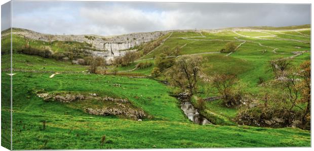 Malham Cove and hills Canvas Print by Diana Mower