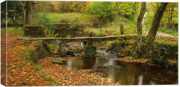 The Ancient Clapper Bridge Wycoller Canvas Print by Diana Mower