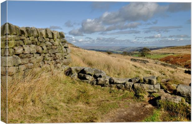  Bronte Country Yorkshire Dales  Canvas Print by Diana Mower
