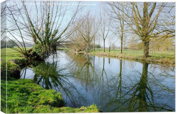 The River Stour in Winter Canvas Print by Diana Mower