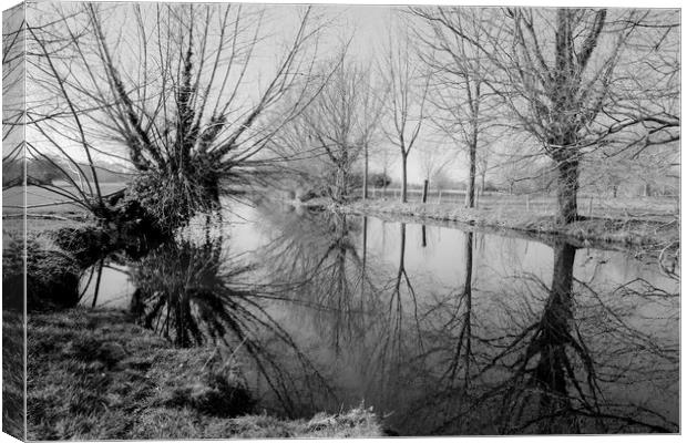 The River Stour  reflections Canvas Print by Diana Mower