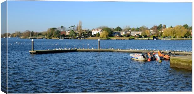 Oulton Broad Canvas Print by Diana Mower