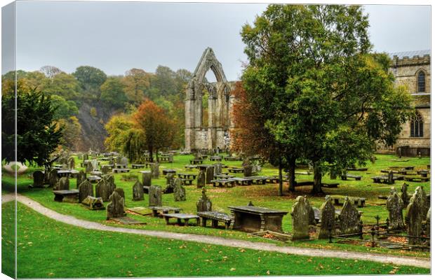 Bolton Priory Ruins Yorkshire Canvas Print by Diana Mower