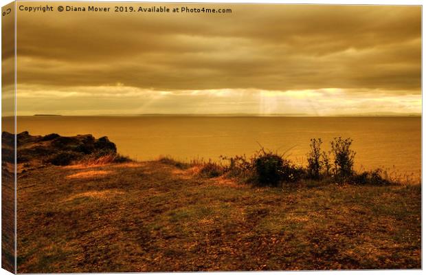 Sand Point, Kewstoke, Somerset Canvas Print by Diana Mower