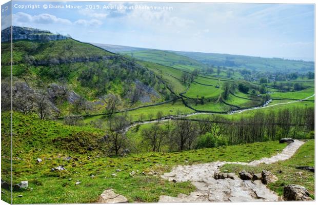  Malham Cove Steps Canvas Print by Diana Mower