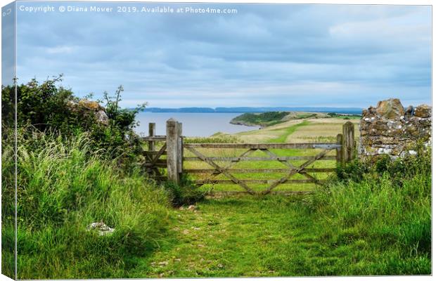 Sand Point to Middle Hope Somerset Canvas Print by Diana Mower