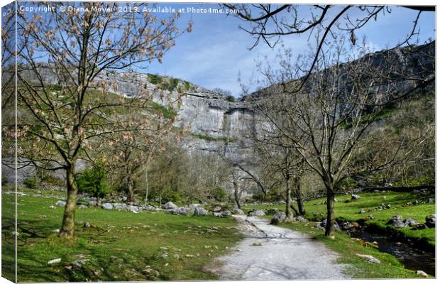 The Walk to Malham Cove Canvas Print by Diana Mower