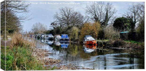 Heybridge Canal Essex Canvas Print by Diana Mower