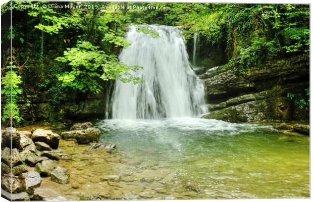 Janets Foss Waterfall Yorkshire Canvas Print by Diana Mower