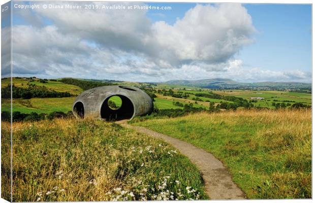 Wycoller Country Park Canvas Print by Diana Mower