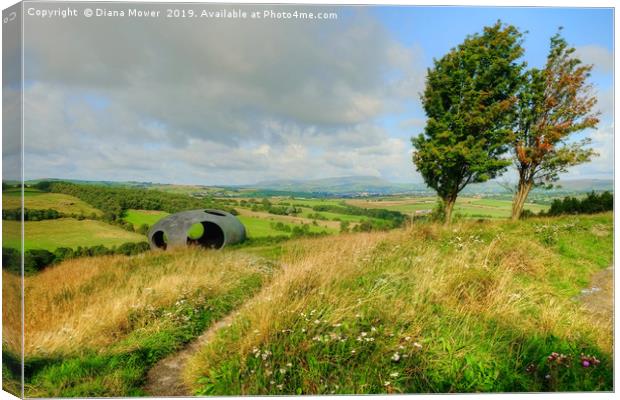 Wycoller Country Park Pendle Canvas Print by Diana Mower