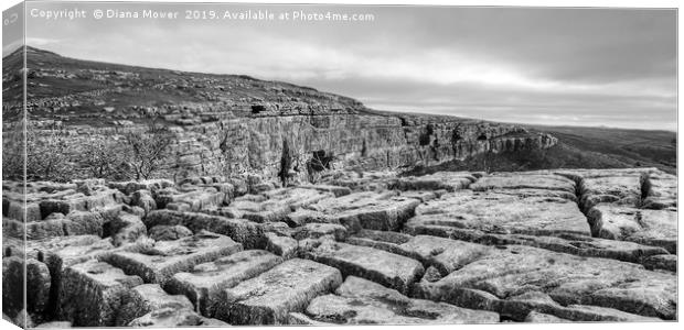 Limestone Pavement Malham Cove Monochrome Canvas Print by Diana Mower