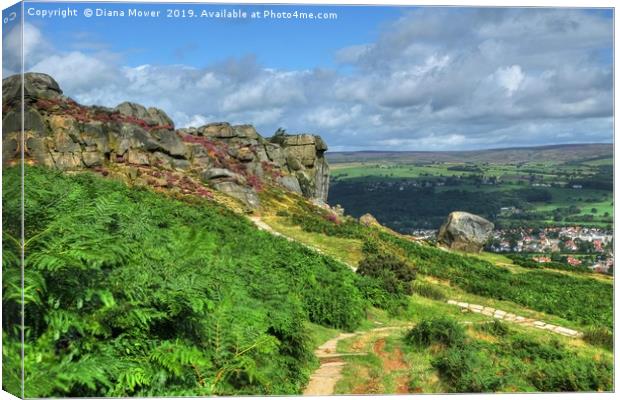 The Cow and Calf Ilkley Moor  Canvas Print by Diana Mower