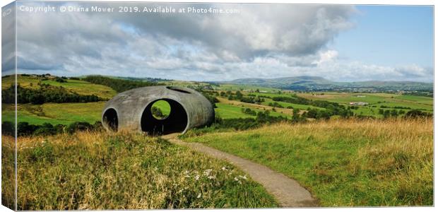 Wycoller Country Park  Lancashire Canvas Print by Diana Mower