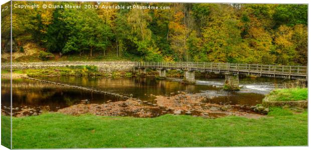Bolton Abbey Stepping Stones and bridge  Canvas Print by Diana Mower