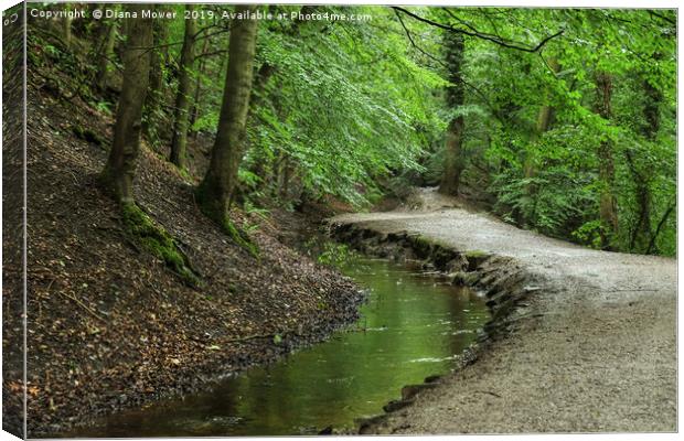 Skipton Castle Woods Canvas Print by Diana Mower