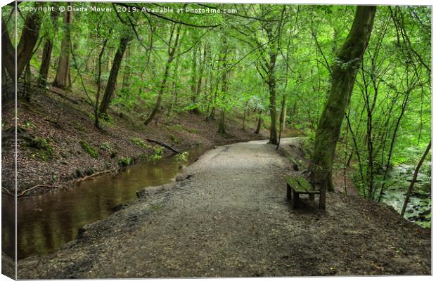 Skipton Castle Woodlands Canvas Print by Diana Mower