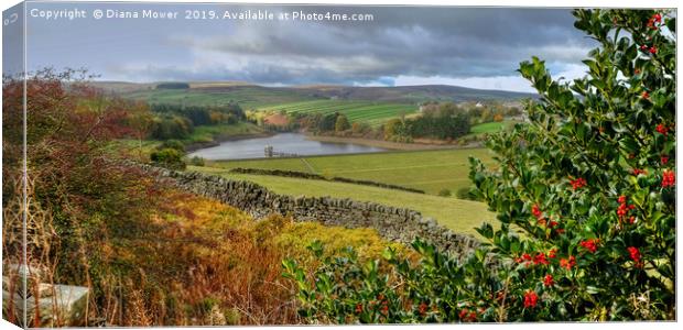 Lower Laithe Reservoir From Pennistone Hill Canvas Print by Diana Mower