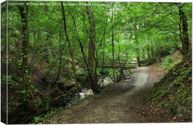 Skipton Castle Woodlands  Canvas Print by Diana Mower