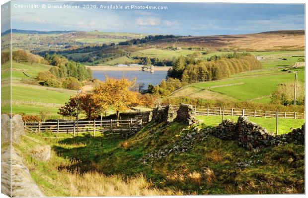 Lower Laithe Reservoir Yorkshire Dales Canvas Print by Diana Mower