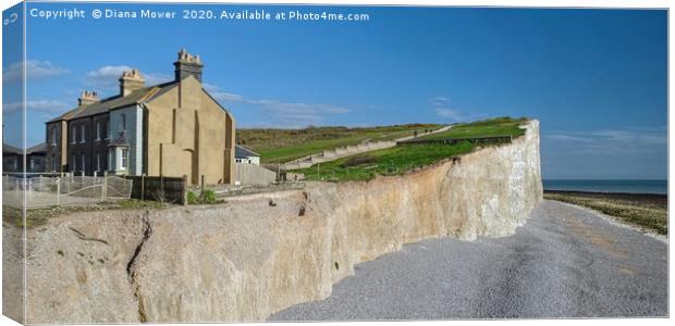 Birling Gap Sussex Canvas Print by Diana Mower