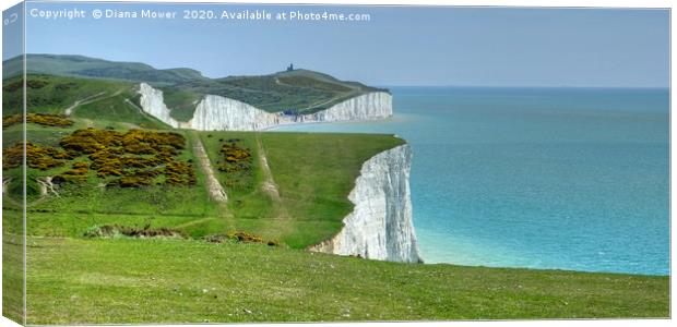 The Seven Sisters white cliffs  Canvas Print by Diana Mower