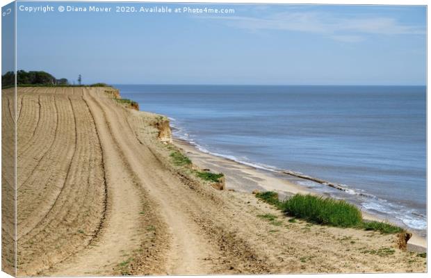 The path to Covehithe Beach Canvas Print by Diana Mower
