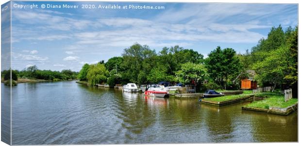 Picturesque River Waveney  Canvas Print by Diana Mower