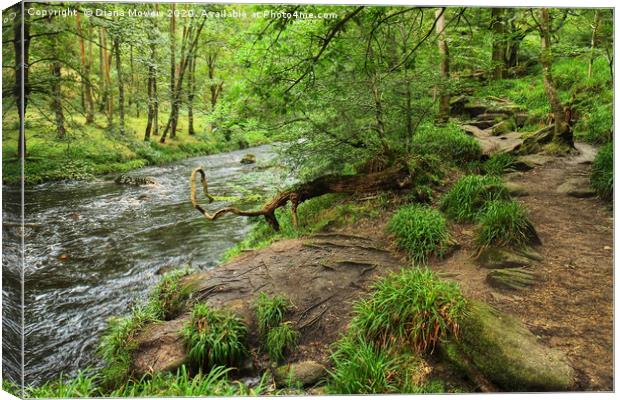 River near Hardcastle Crags Canvas Print by Diana Mower
