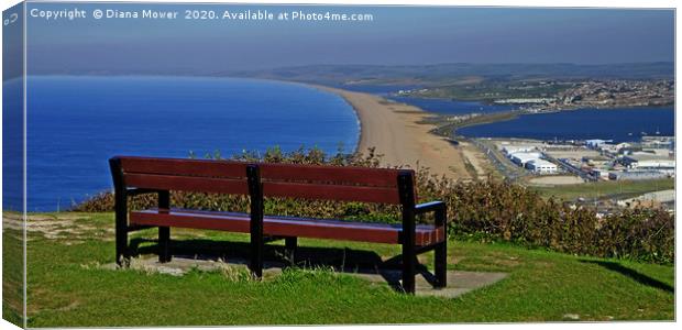 Chesil Beach Dorset Canvas Print by Diana Mower