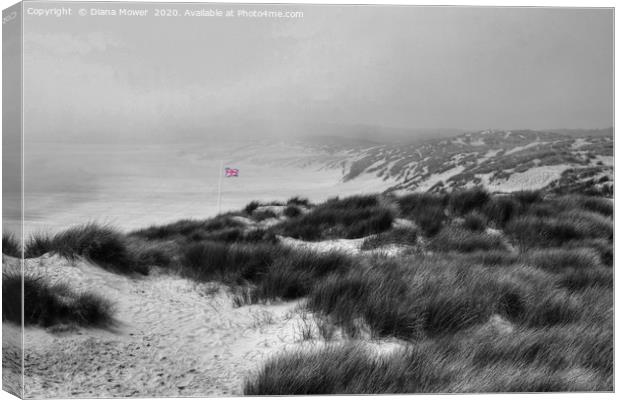 Camber Sands Sussex  Canvas Print by Diana Mower