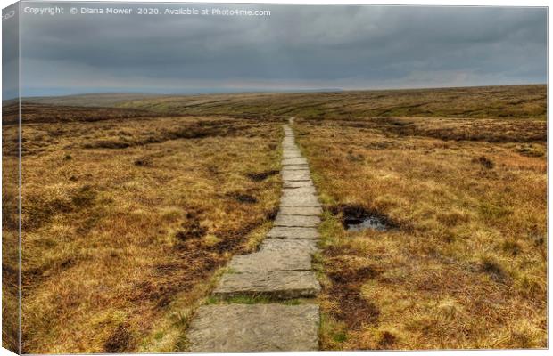 Pendle Hill Path Canvas Print by Diana Mower
