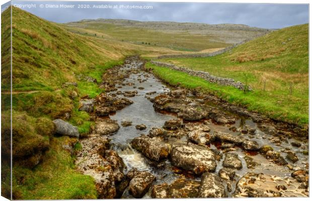 River Twiss Ingleton Yorkshire Canvas Print by Diana Mower