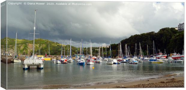 Ilfracombe Harbour Devon Canvas Print by Diana Mower