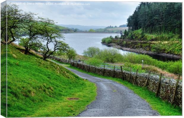 Ogden Reservoir Yorkshire Canvas Print by Diana Mower