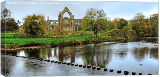 Bolton Abbey Stepping Stones Wharfedale Canvas Print by Diana Mower
