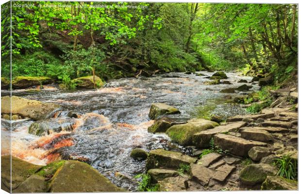 Hebden Beck near Hardcastle Crags Canvas Print by Diana Mower