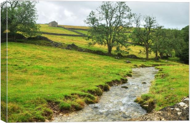 Gordale beck and Gorge Canvas Print by Diana Mower