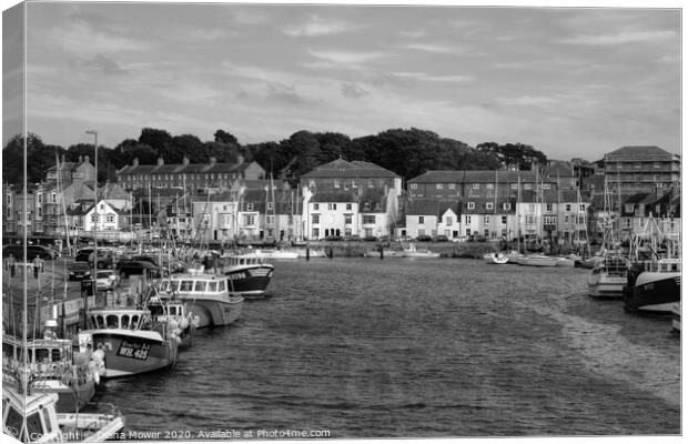 Weymouth Harbour Monochrome Canvas Print by Diana Mower